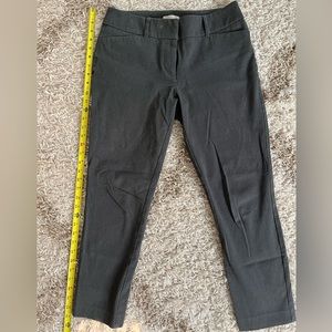 Loft dress pants